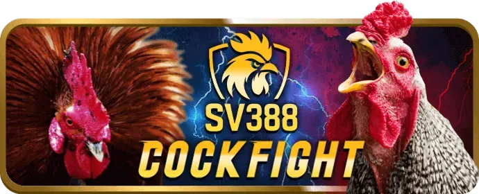 Cá Cược Thể Thao gk888